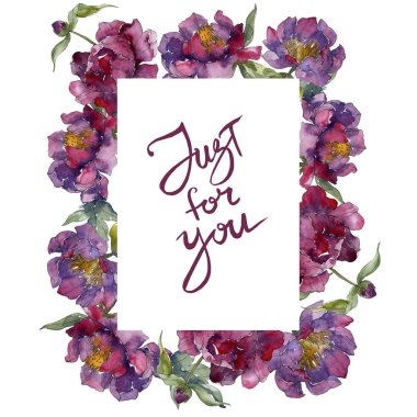 Mor izole üzerinde beyaz peonies suluboya arka plan illüstrasyon küme. Çerçeve kenarlığı süsleme.