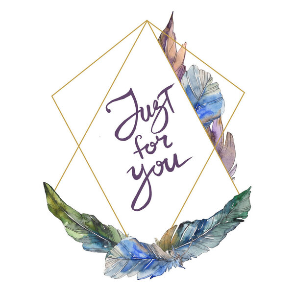 Птичье перо из крыла изолировано. Набор акварельных фонов. Акварель акварель акварель изолирована. Граничный орнамент
.