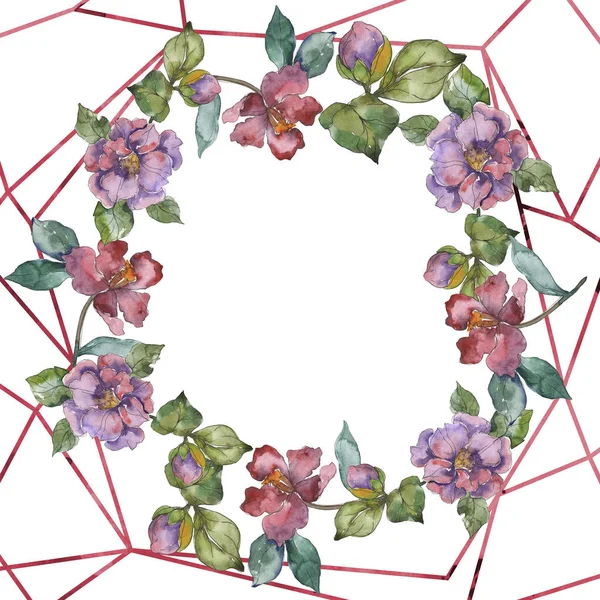 Camellia Rode Paarse Bloemen Aquarel Achtergrond Afbeelding Instellen Frame Grens — Stockfoto