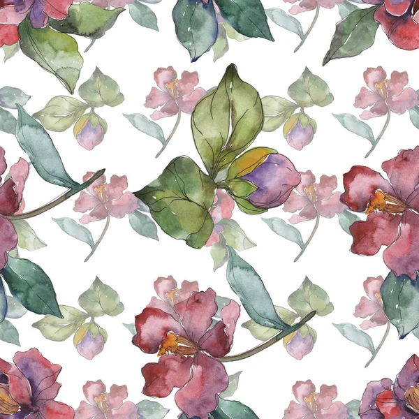 Red Purple Camellia Flowers Watercolor Illustration Set Seamless Background Pattern — Stock Photo, Image