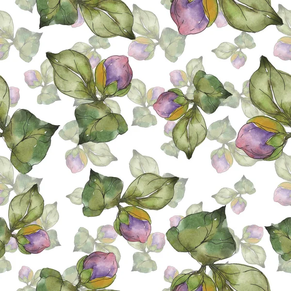 Red Purple Camellia Flowers Watercolor Illustration Set Seamless Background Pattern — Stock Photo, Image