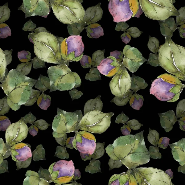 Червоні Фіолетові Квіти Камелії Набір Акварельних Ілюстрацій Безшовний Візерунок Тла — стокове фото