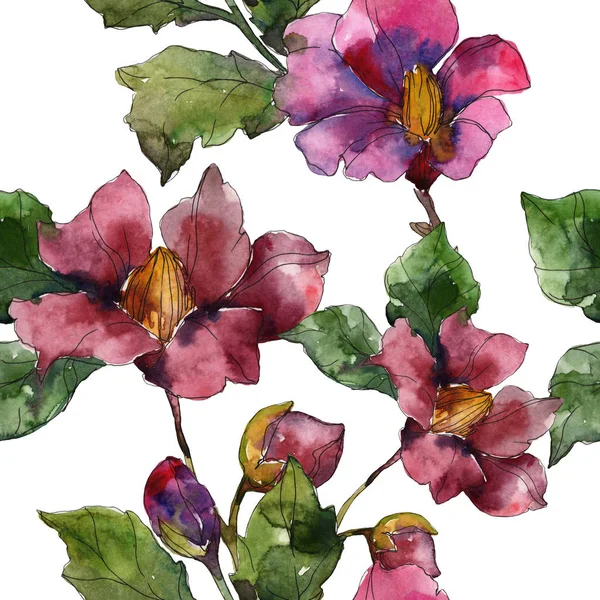 Red Purple Camellia Flowers Watercolor Illustration Set Seamless Background Pattern — Stock Photo, Image