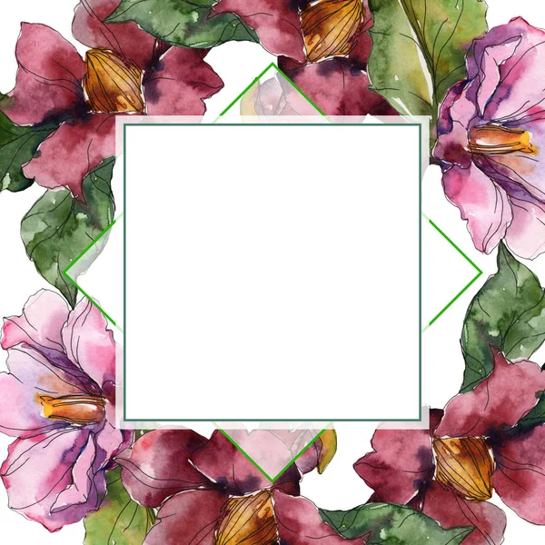 红色和紫色的山茶花 水彩背景插图集 带复制空间的框架边框装饰 — 图库照片