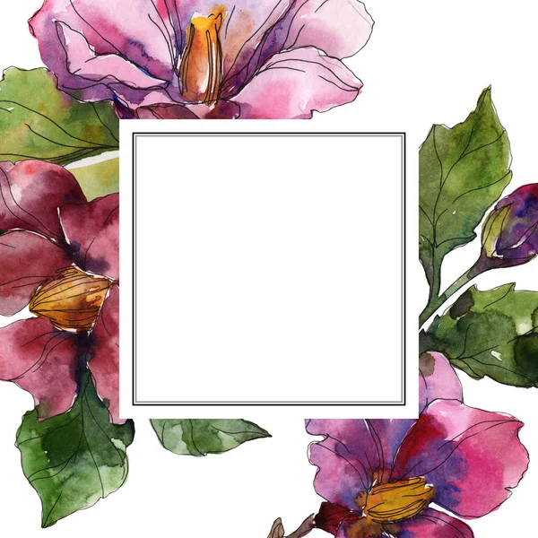 Camellia Rode Paarse Bloemen Aquarel Achtergrond Afbeelding Instellen Frame Grens — Stockfoto