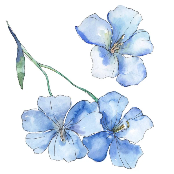 Lino Viola Blu Fiore Botanico Floreale Fiore Selvatico Primaverile Isolato — Foto Stock