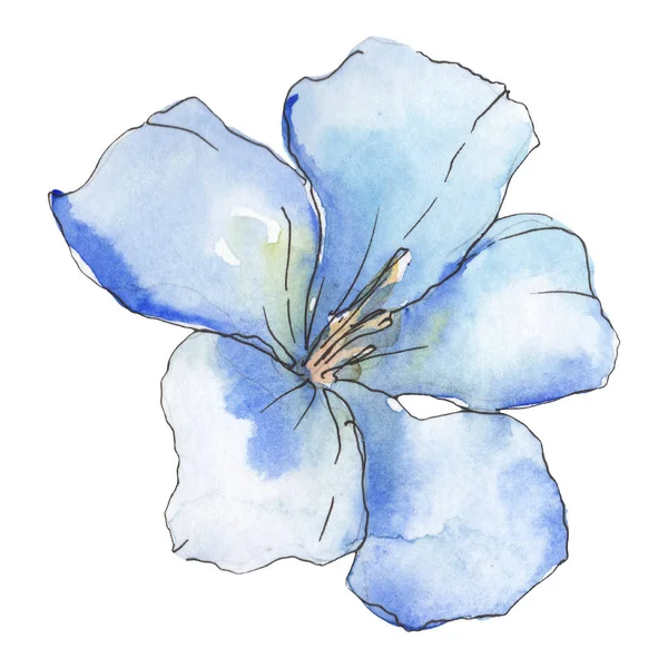 Mavi Mor Keten Botanik Çiçek Vahşi Bahar Yaprak Izole Kır — Stok fotoğraf