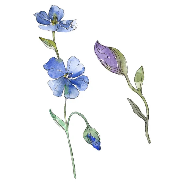 蓝色和紫色亚麻花卉植物花 野生春叶野花分离 水彩背景插图集 水彩画时尚水彩画 独立的亚麻插图元素 — 图库照片