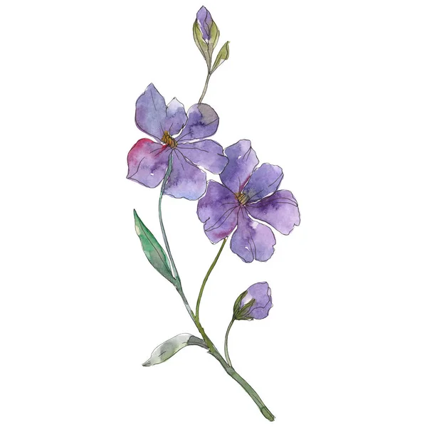 Flor Botânica Floral Linho Azul Roxo Folha Selvagem Primavera Wildflower — Fotografia de Stock