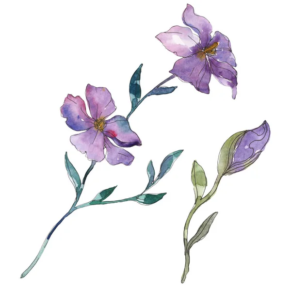 蓝色和紫色亚麻花卉植物花 野生春叶野花分离 水彩背景插图集 水彩画时尚水彩画 独立的亚麻插图元素 — 图库照片