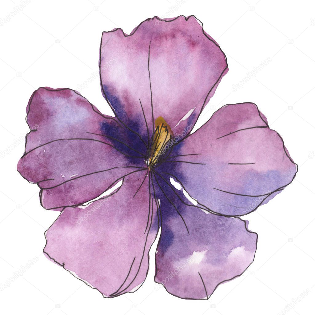 Blue purple flax. Floral botanical flower. Wild spring leaf wildflower isolated. Watercolor background illustration set. Watercolour drawing fashion aquarelle. Isolated flax illustration element.