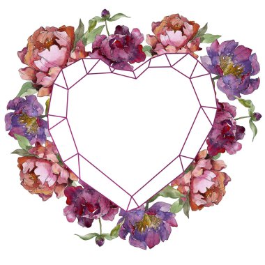 Mor izole üzerinde beyaz peonies suluboya arka plan illüstrasyon küme. Çerçeve kenarlığı süsleme.