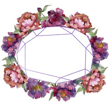 Mor izole üzerinde beyaz peonies suluboya arka plan illüstrasyon küme. Çerçeve kenarlığı süsleme.
