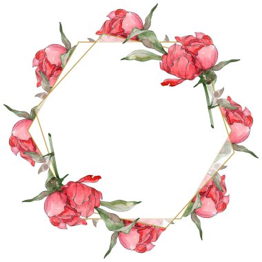 Kırmızı peonies suluboya arka plan illüstrasyon izole üzerinde beyaz ayarlayın. Çerçeve kenarlığı süsleme.