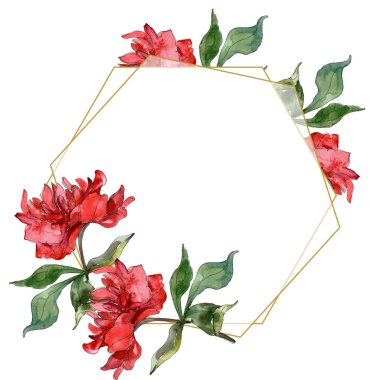 Kırmızı peonies suluboya arka plan illüstrasyon izole üzerinde beyaz ayarlayın. Çerçeve kenarlığı süsleme.