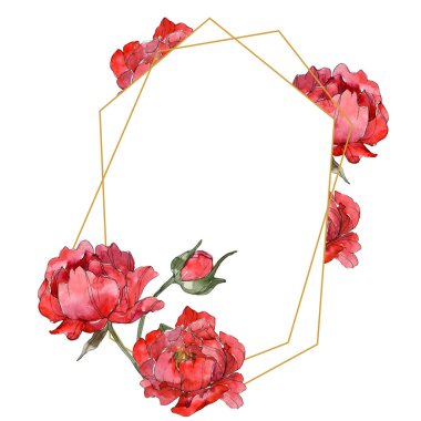 Kırmızı peonies suluboya arka plan illüstrasyon izole üzerinde beyaz ayarlayın. Çerçeve kenarlığı süsleme.