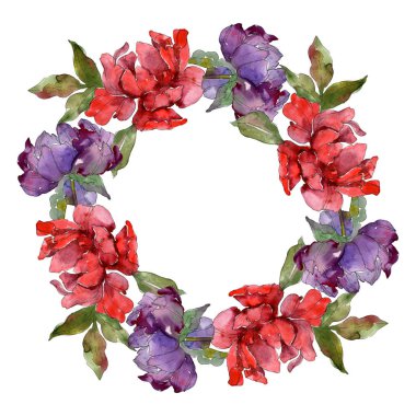 Kırmızı ve mor peonies. Suluboya arka plan illüstrasyon küme. Çerçeve kenarlığı süsleme kopya alanı ile.
