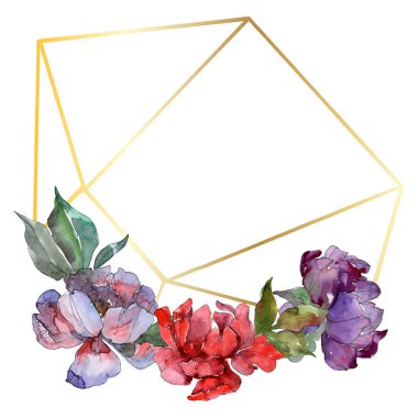 Kırmızı ve mor peonies. Suluboya arka plan illüstrasyon küme. Çerçeve kenarlığı süsleme kopya alanı ile.