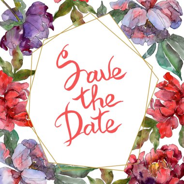 Kırmızı ve mor peonies. Suluboya arka plan illüstrasyon küme. Çerçeve kenarlığı süsleme yazıt ile.