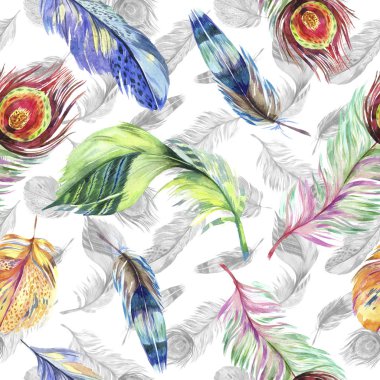 Renkli kuş tüyü Wing. Suluboya arka plan illüstrasyon küme. Suluboya çizim moda aquarelle izole. Sorunsuz arka plan deseni. Kumaş duvar kağıdı yazdırma doku.