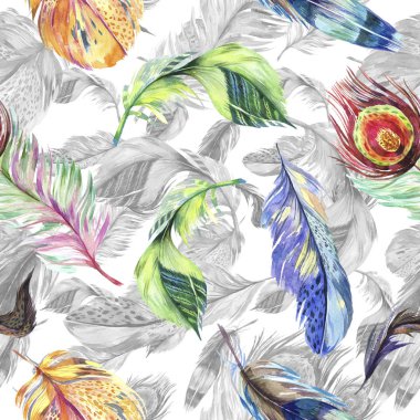 Renkli kuş tüyü Wing. Suluboya arka plan illüstrasyon küme. Suluboya çizim moda aquarelle izole. Sorunsuz arka plan deseni. Kumaş duvar kağıdı yazdırma doku.
