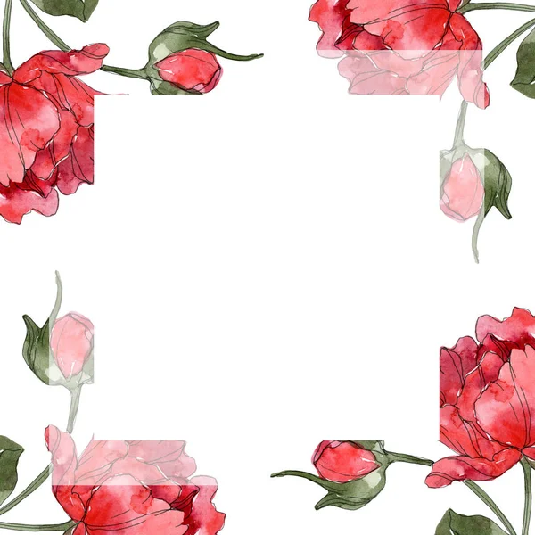 Red Peonies Watercolor Background Illustration Set Isolated White Frame Border — Stock Photo, Image