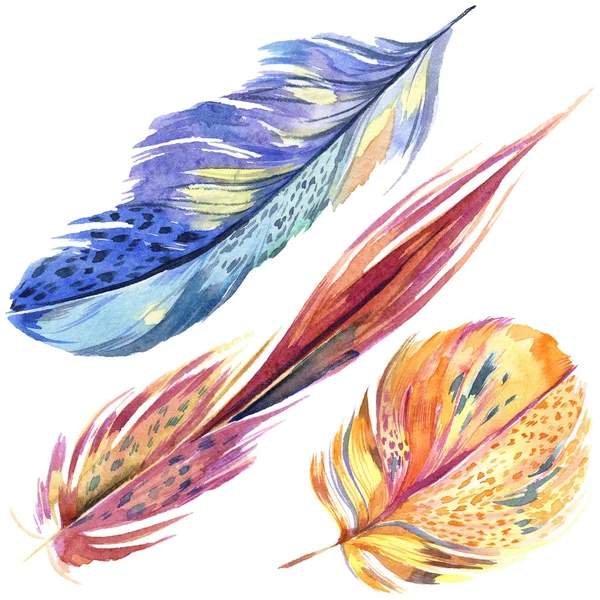 Colorful Bird Feather Wing Isolated Aquarelle Feather Background Watercolor Illustration — Stock Photo, Image