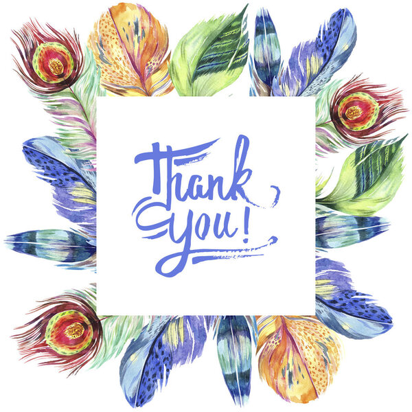 Colorful bird feather from wing isolated. Aquarelle feather for frame or border. Watercolor background illustration set. Watercolour drawing fashion aquarelle isolated. Frame border ornament square.