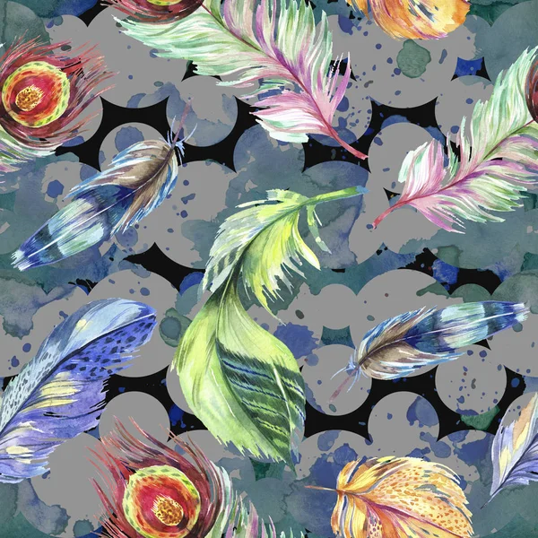 Renkli kuş tüyü Wing. Suluboya arka plan illüstrasyon küme. Suluboya çizim moda aquarelle izole. Sorunsuz arka plan deseni. Kumaş duvar kağıdı yazdırma doku.
