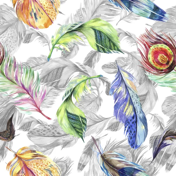 Bunte Vogelfeder Vom Flügel Aquarell Hintergrundillustration Set Aquarellzeichnung Modeaquarell Isoliert — Stockfoto