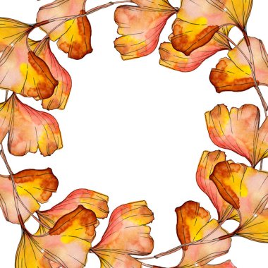 Yeşil sarı ginkgo biloba yaprak. Yaprak bitki botanik bahçe çiçek yaprakları. Suluboya arka plan illüstrasyon küme. Suluboya çizim moda aquarelle izole. Çerçeve kenarlığı süsleme Meydanı.