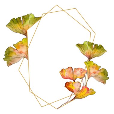 Yeşil sarı ginkgo biloba yaprak. Yaprak bitki botanik bahçe çiçek yaprakları. Suluboya arka plan illüstrasyon küme. Suluboya çizim moda aquarelle izole. Çerçeve kenarlığı süsleme Meydanı.