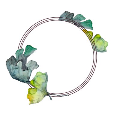 Ginkgo biloba yaprak. Yaprak bitki botanik bahçe çiçek yaprakları. Suluboya arka plan illüstrasyon küme. Suluboya çizim moda aquarelle izole. Çerçeve kenarlığı süsleme Meydanı.