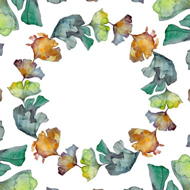 Ginkgo biloba yaprak. Yaprak bitki botanik bahçe çiçek yaprakları. Suluboya arka plan illüstrasyon küme. Suluboya çizim moda aquarelle izole. Çerçeve kenarlığı süsleme Meydanı.