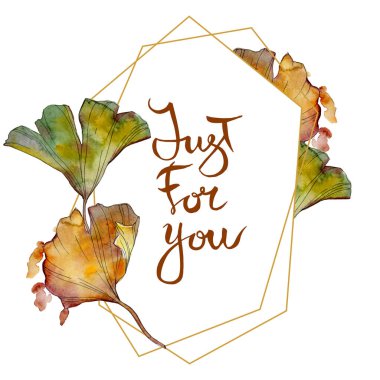 Ginkgo biloba yaprak. Yaprak bitki botanik bahçe çiçek yaprakları. Suluboya arka plan illüstrasyon küme. Suluboya çizim moda aquarelle izole. Çerçeve kenarlığı süsleme Meydanı.