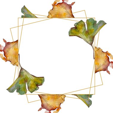 Ginkgo biloba yaprak. Yaprak bitki botanik bahçe çiçek yaprakları. Suluboya arka plan illüstrasyon küme. Suluboya çizim moda aquarelle izole. Çerçeve kenarlığı süsleme Meydanı.
