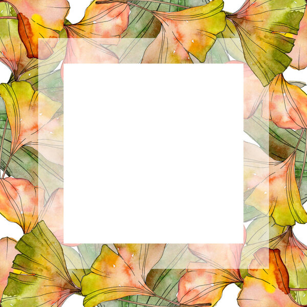 Green yellow ginkgo biloba leaf. Leaf plant botanical garden floral foliage. Watercolor background illustration set. Watercolour drawing fashion aquarelle isolated. Frame border ornament square.