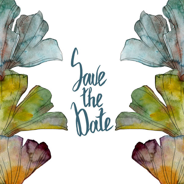 Ginkgo biloba leaf. Leaf plant botanical garden floral foliage. Watercolor background illustration set. Watercolour drawing fashion aquarelle isolated. Frame border ornament square.