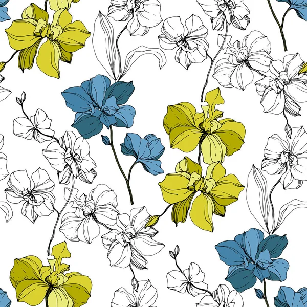 Orchidee Vettoriali Blu Gialle Isolate Bianco Modello Sfondo Senza Soluzione — Vettoriale Stock