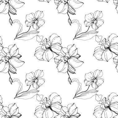 Vector black orchids isolated on white. Seamless background pattern. Fabric wallpaper print texture. clipart