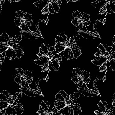 Siyah izole vektör beyaz orkide. Sorunsuz arka plan deseni. Kumaş duvar kağıdı yazdırma doku.