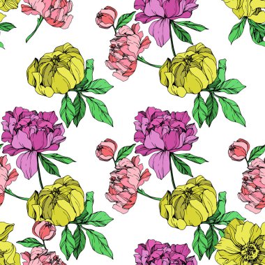 Beyaz arka plan üzerinde pembe, mor ve sarı peonies illüstrasyon vektör. Oyulmuş mürekkep sanat. Sorunsuz arka plan deseni. Kumaş duvar kağıdı yazdırma doku.