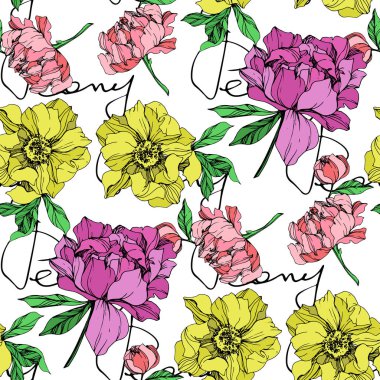 Vector purple, yellow and pink isolated peonies with peony letterings illustration on white background. Engraved ink art. Seamless background pattern. Fabric wallpaper print texture. clipart