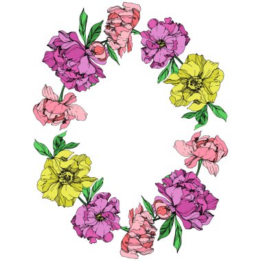 İzole vektör peonies beyaz zemin üzerine yeşil yaprakları ile pembe, mor ve sarı. Oyulmuş mürekkep sanat. Çerçeve kenarlığı süsleme kopya alanı ile.