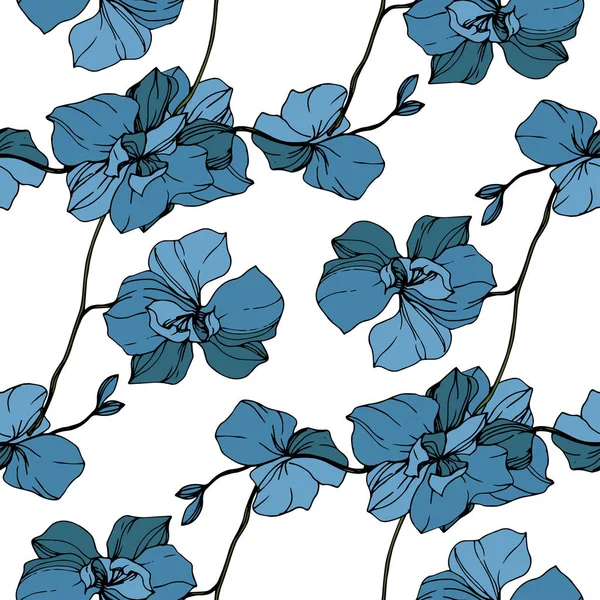 在白色查出的向量蓝色兰花 无缝的背景模式 织物壁纸打印纹理 — 图库矢量图片