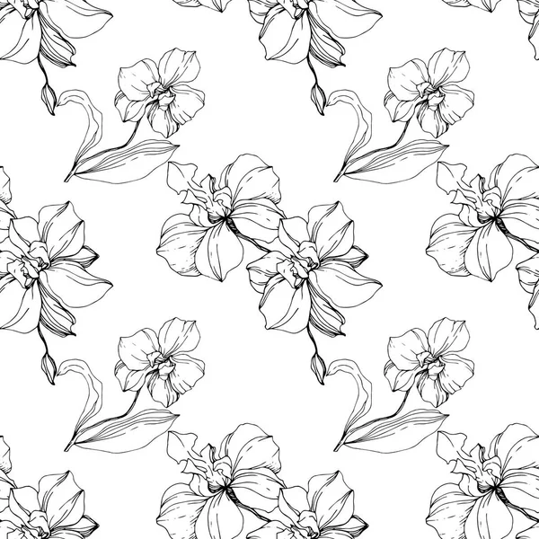 Vector Black Orchids Isolated White Seamless Background Pattern Fabric Wallpaper — Stock Vector