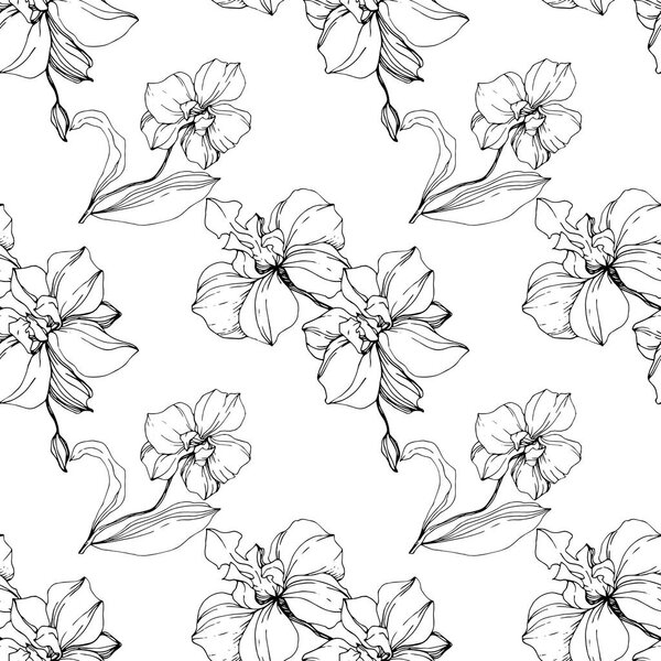 Vector black orchids isolated on white. Seamless background pattern. Fabric wallpaper print texture.