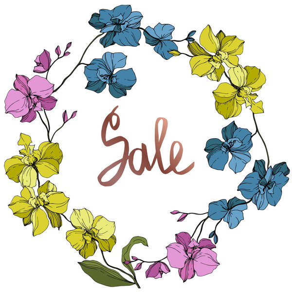 Векторные синие, розовые и желтые орхидеи изолированы на белом. Каркас пограничного украшения с надписью продажи
.