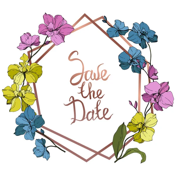Beyaz izole vektör mavi, pembe ve sarı orkide. Çerçeve kenarlığı süsleme ile tarihi yazı Kaydet.