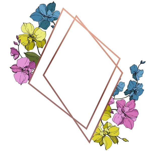 Orchidées Vectorielles Bleues Roses Jaunes Isolées Sur Blanc Cadre Bordure — Image vectorielle